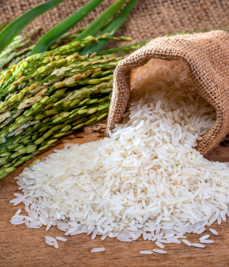 Rice